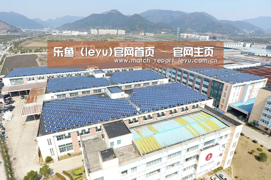 案例展示二
