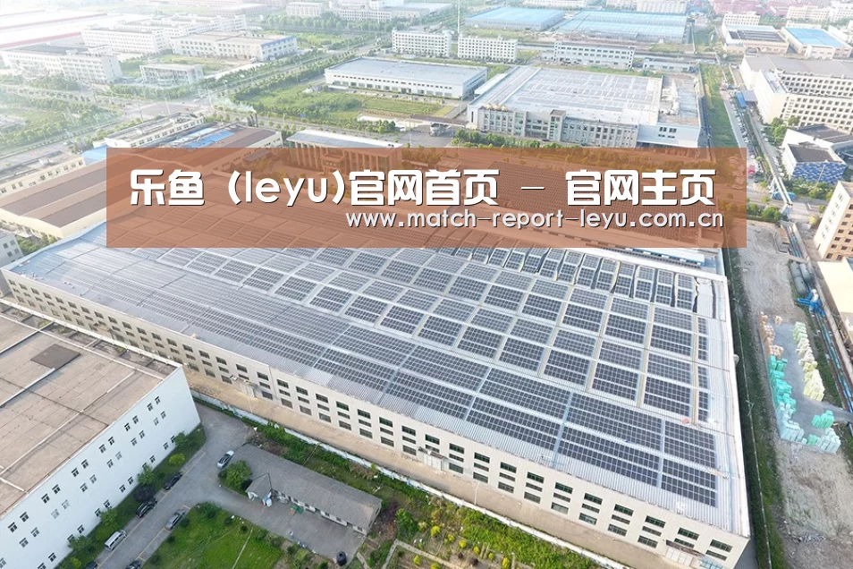 案例展示一