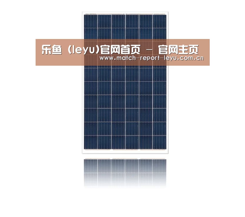 产品名称一