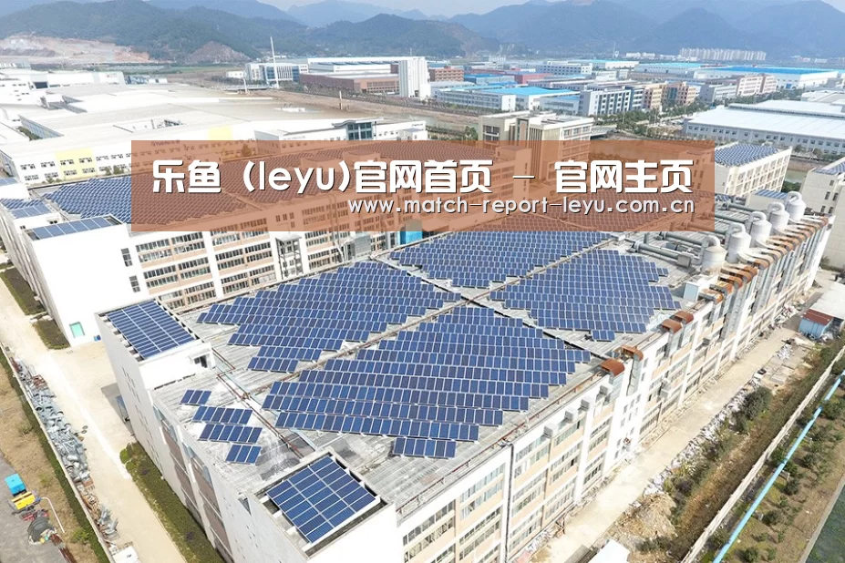 案例展示一