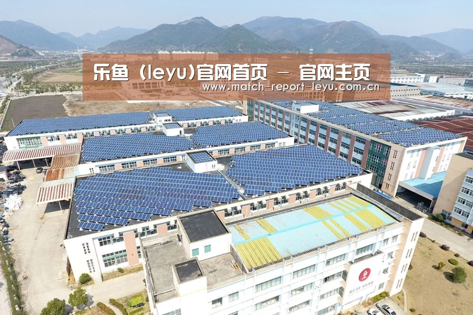 案例展示一