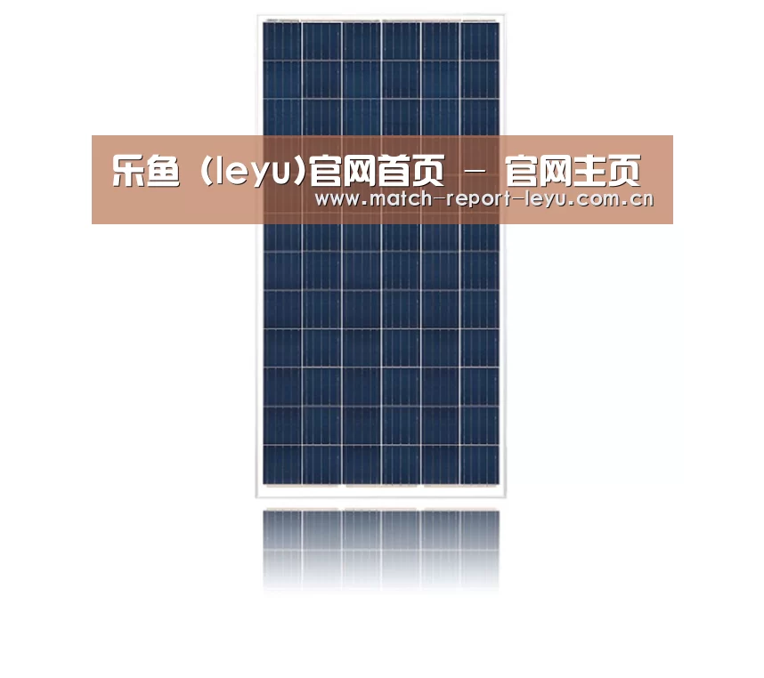 产品名称一