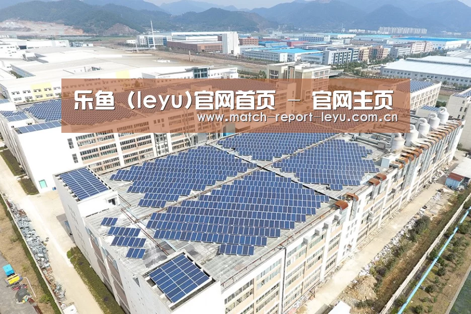 案例展示四