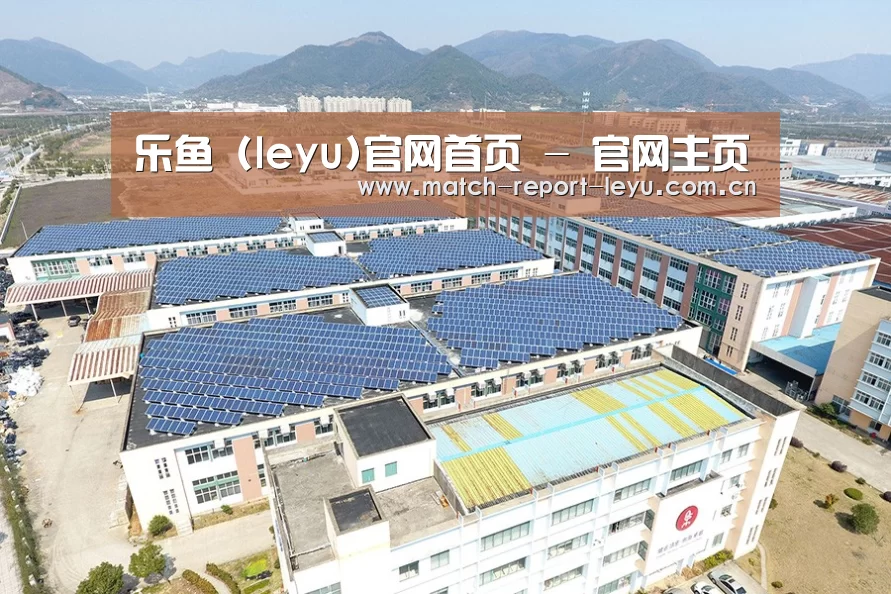 案例展示三