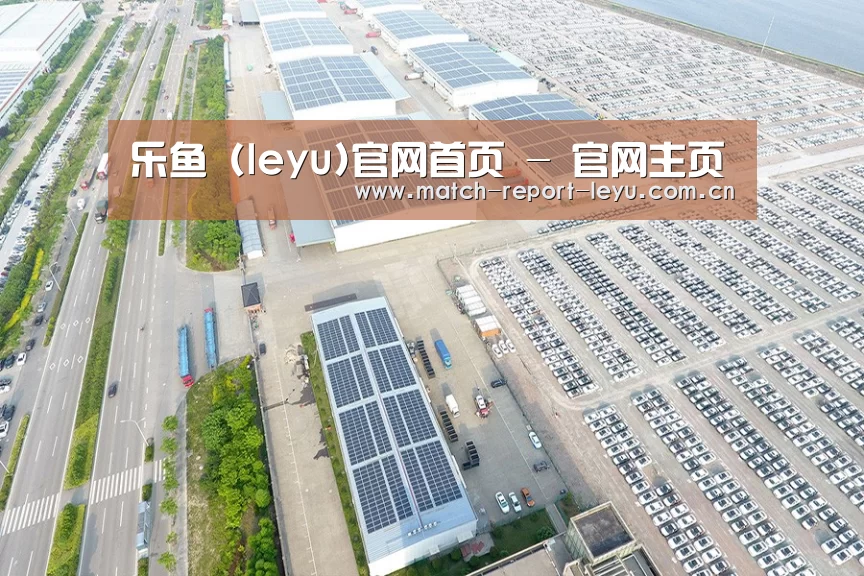 案例展示二